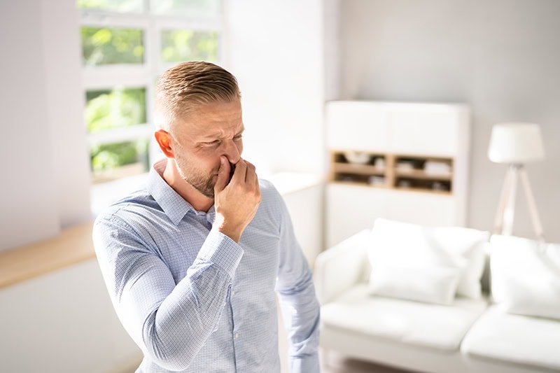 Common Sewer Odors in Your Cape May County Home: What’s That Smell?